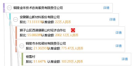 銅陵金豐技術(shù)咨詢服務(wù)有限責(zé)任公司 專業(yè)引領(lǐng)，技術(shù)賦能未來(lái)